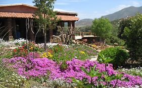 Quinta Maria en la Ruta del Vino